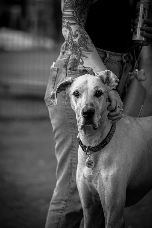 LPN_DOGS_110