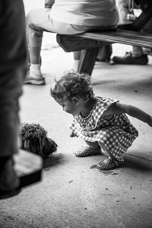 LPN_DOGS_115