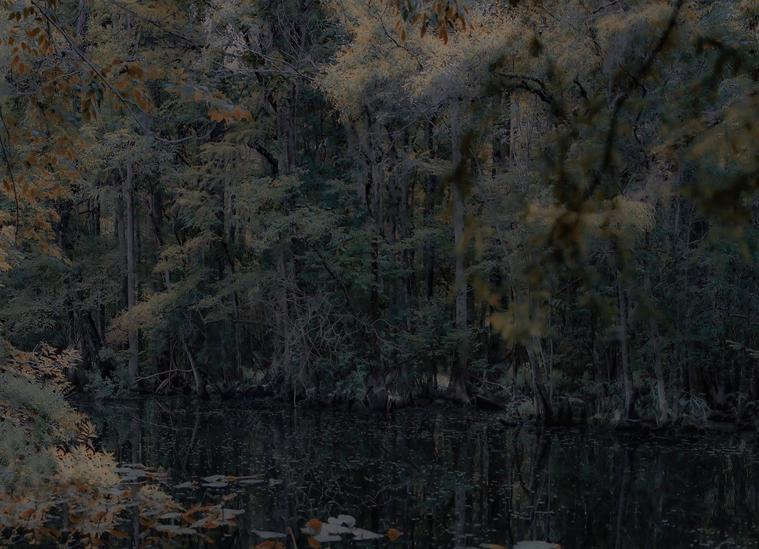 LPN_FIREFLIES_1