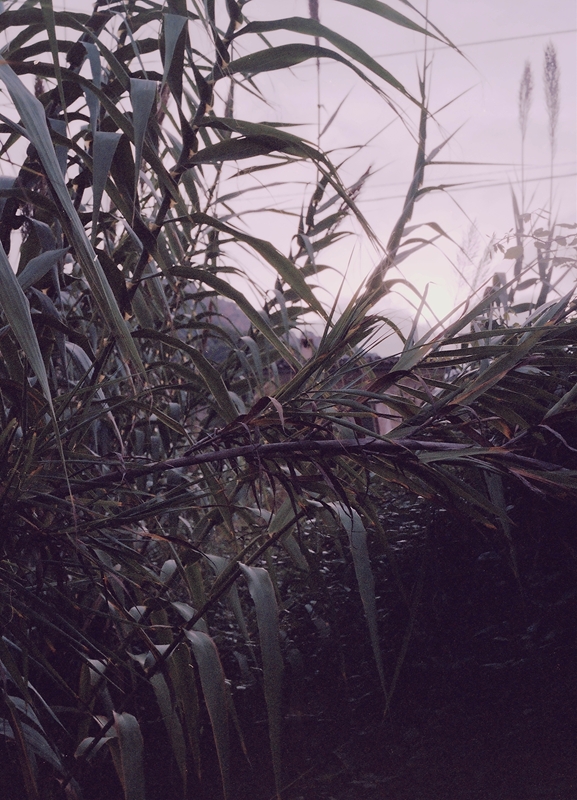 LPN_IS_SHE_HERE_13
