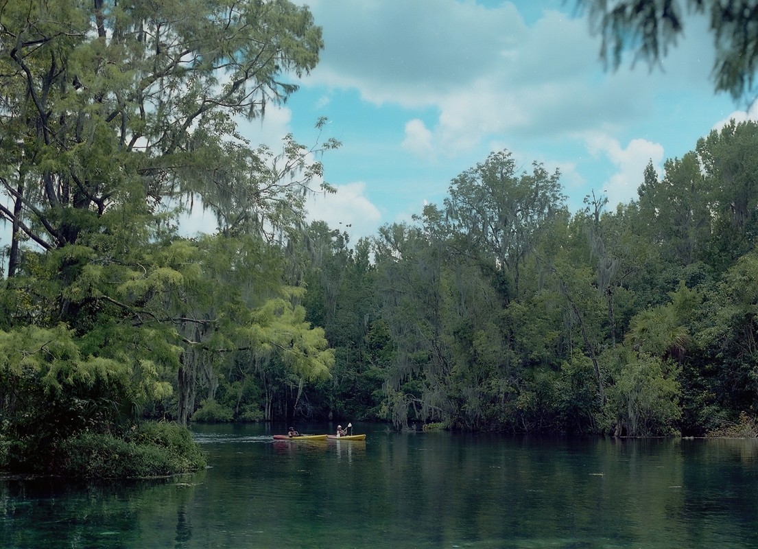 LPN__FLORIDA_WILD_111