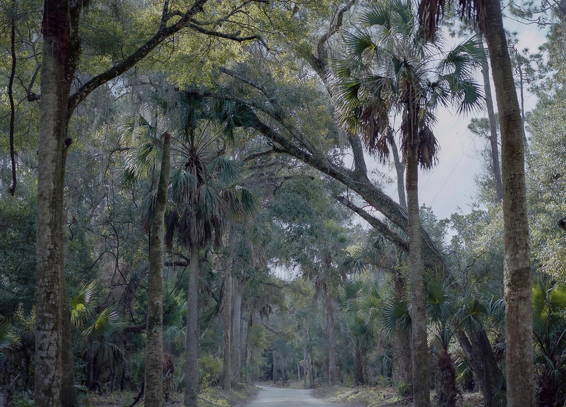 LPN__FLORIDA_WILD_113