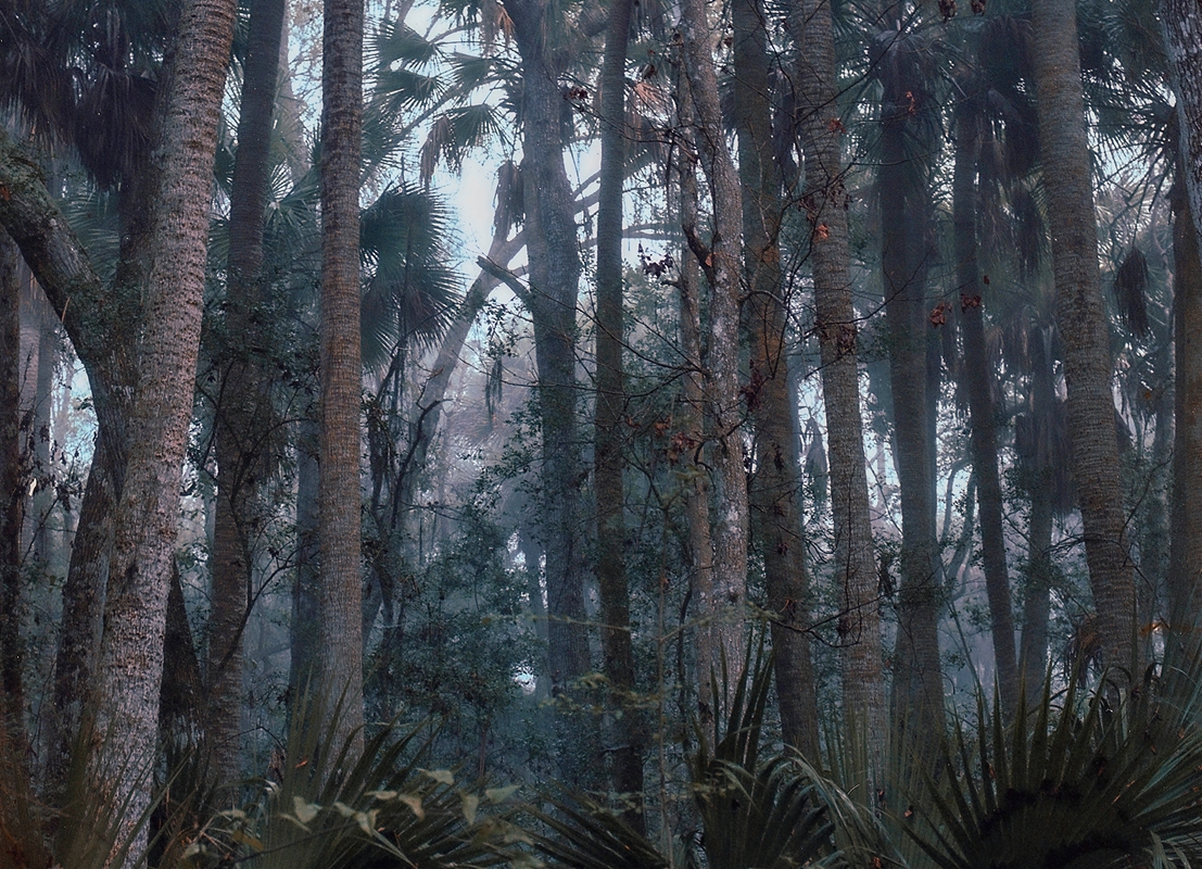 LPN__FLORIDA_WILD_15