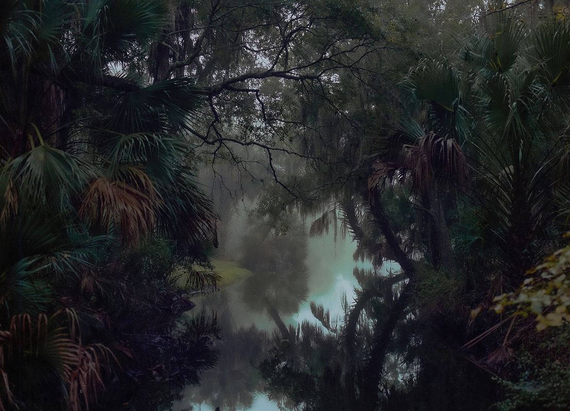 LPN__FLORIDA_WILD_19