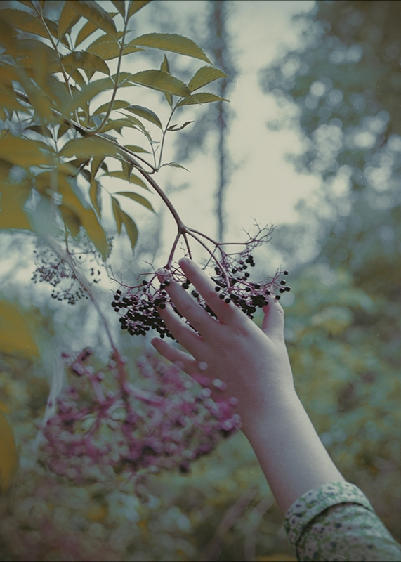LPN__MY_ALICE_3