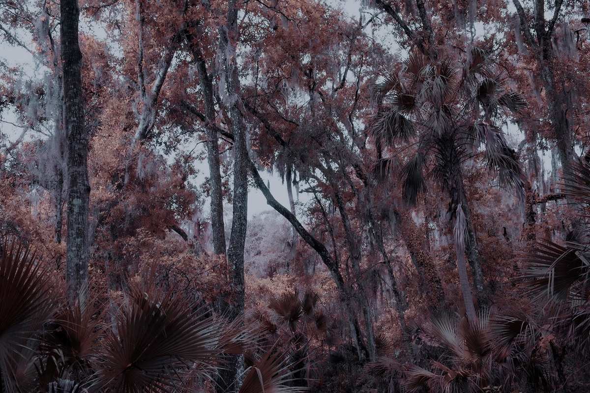 LPN__WONDERLAND_14
