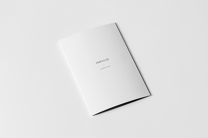 01_Four-Fold-A5-Brochure-Mock-up