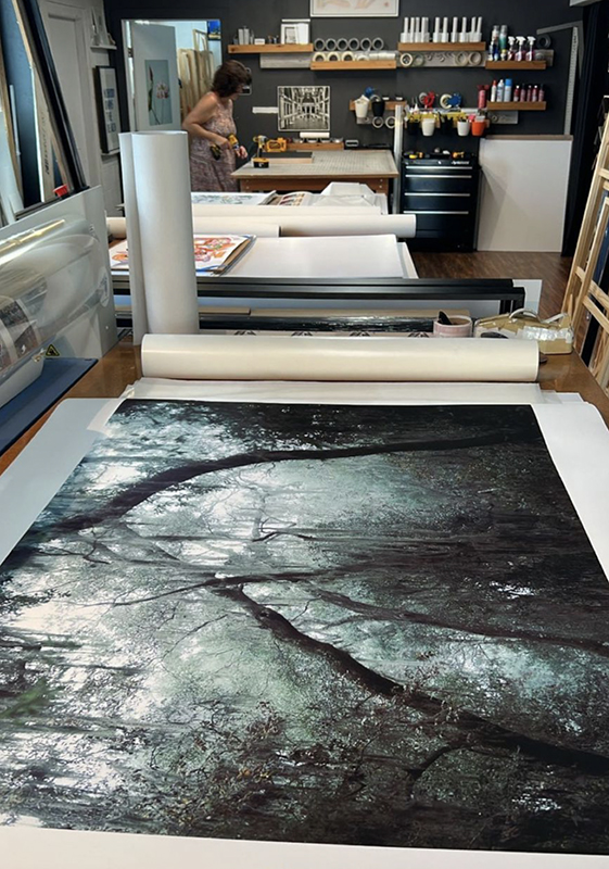 LPN_TIMUCUAN_printers_1