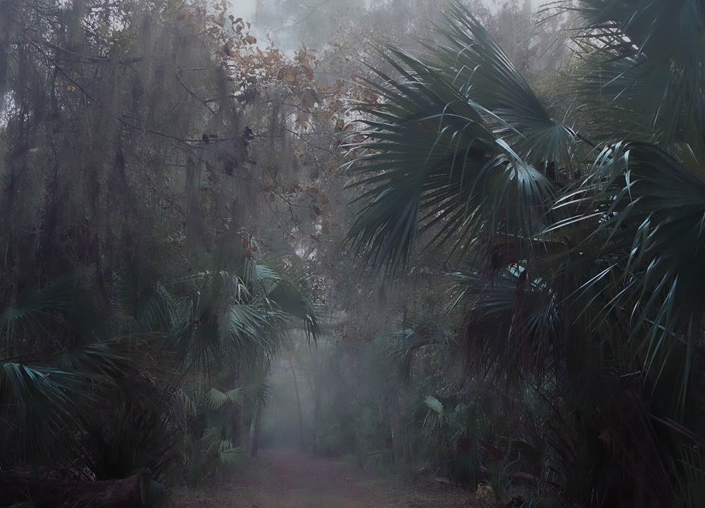 No-1-PALMETTO-PATHS