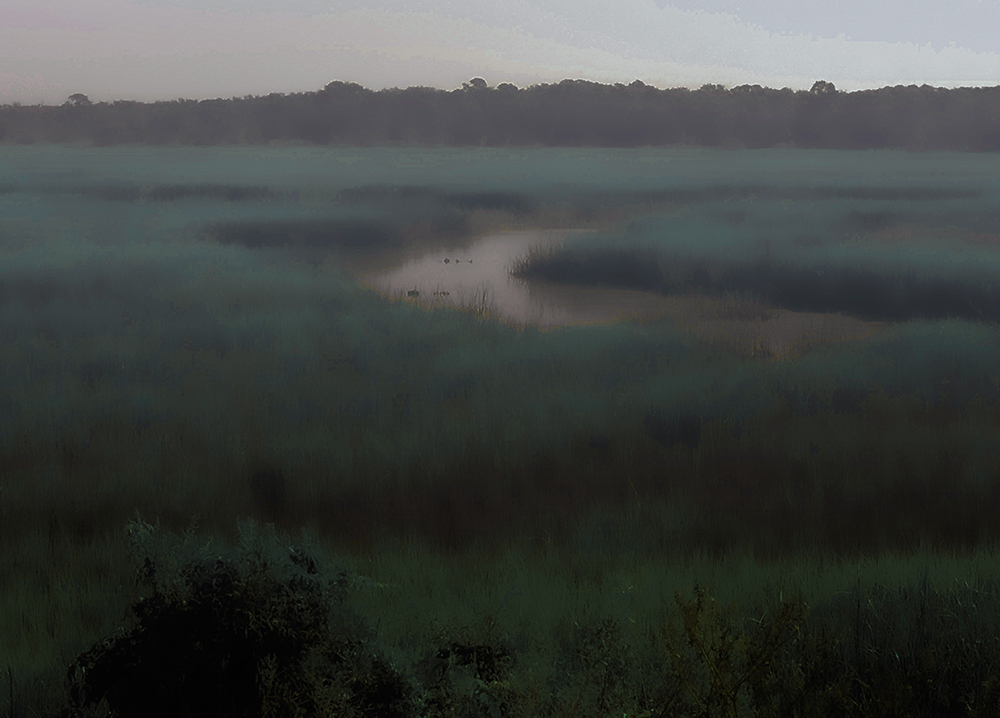 No-2-THE-MARSH