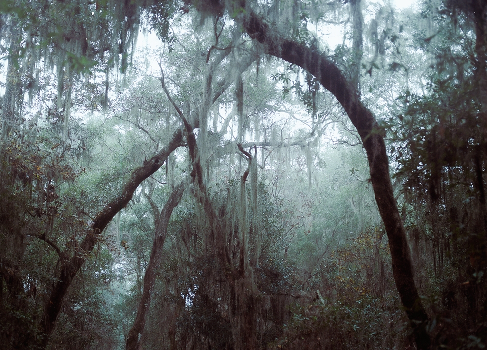 No-7-ARCHES