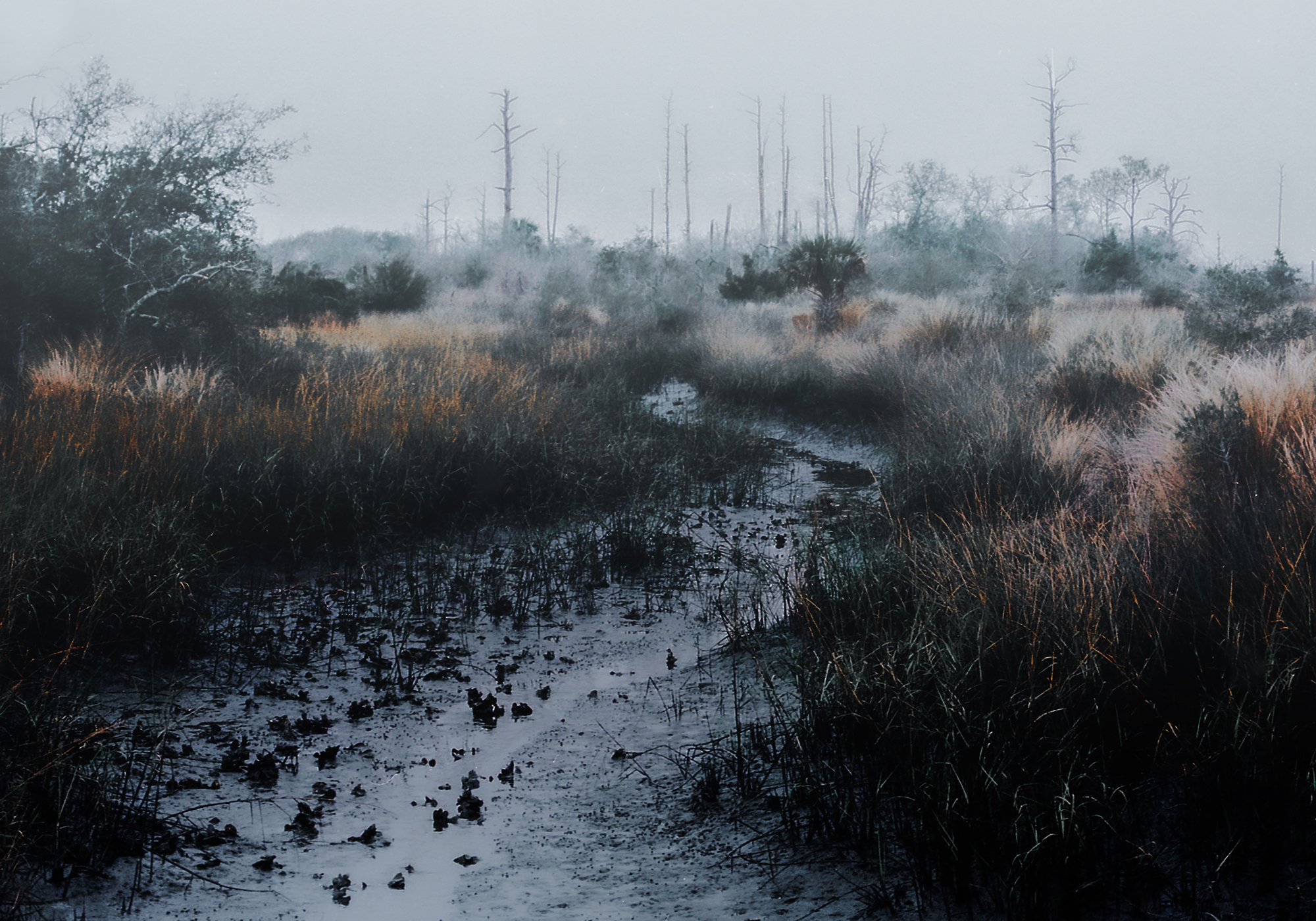 No-8-THE-MARSH-copy-1