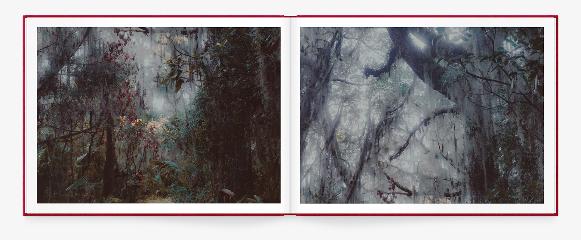 TIMUCUAN_Book_Spread_Mockup_wonderland