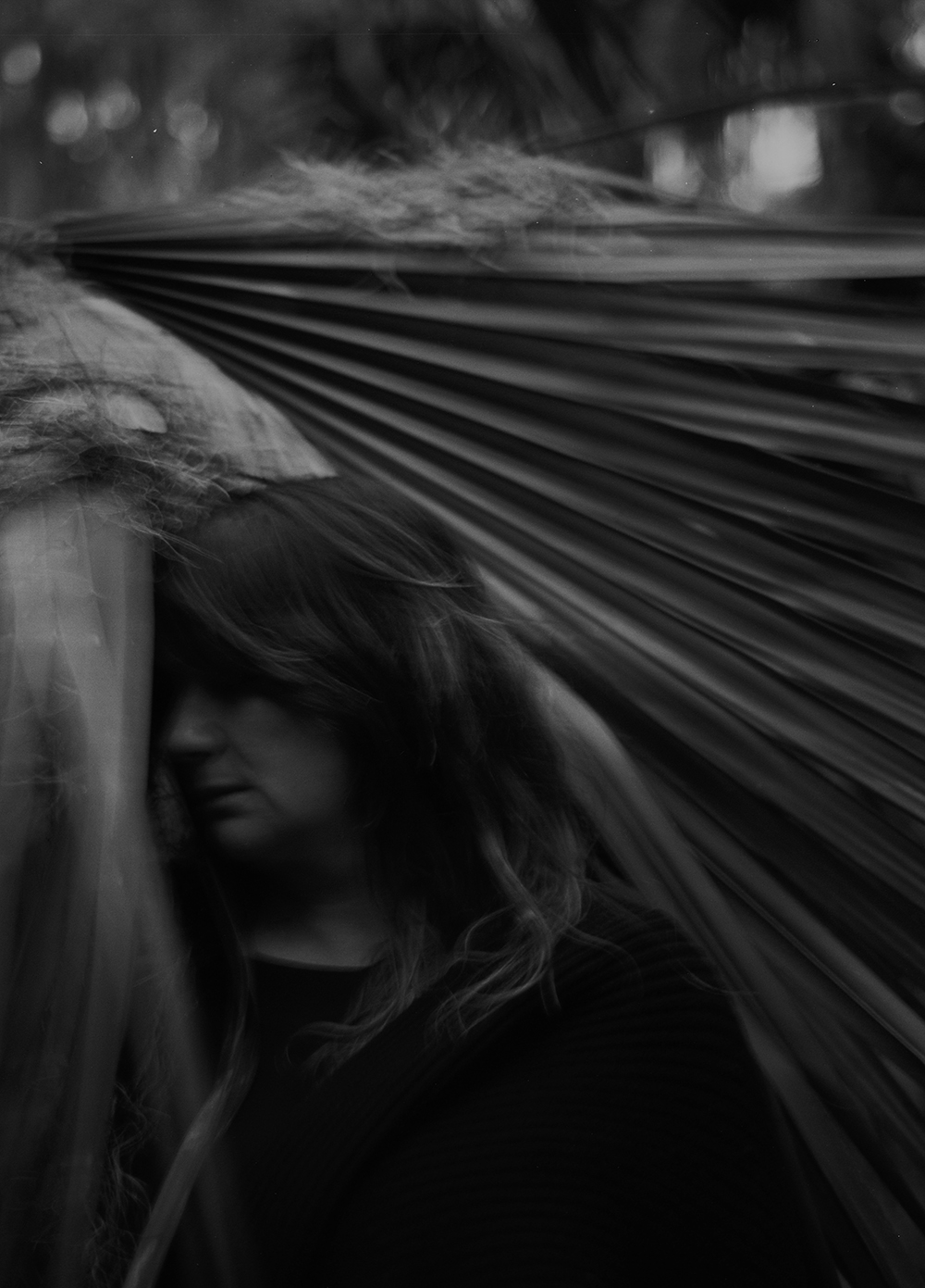 palm-embrace-copy